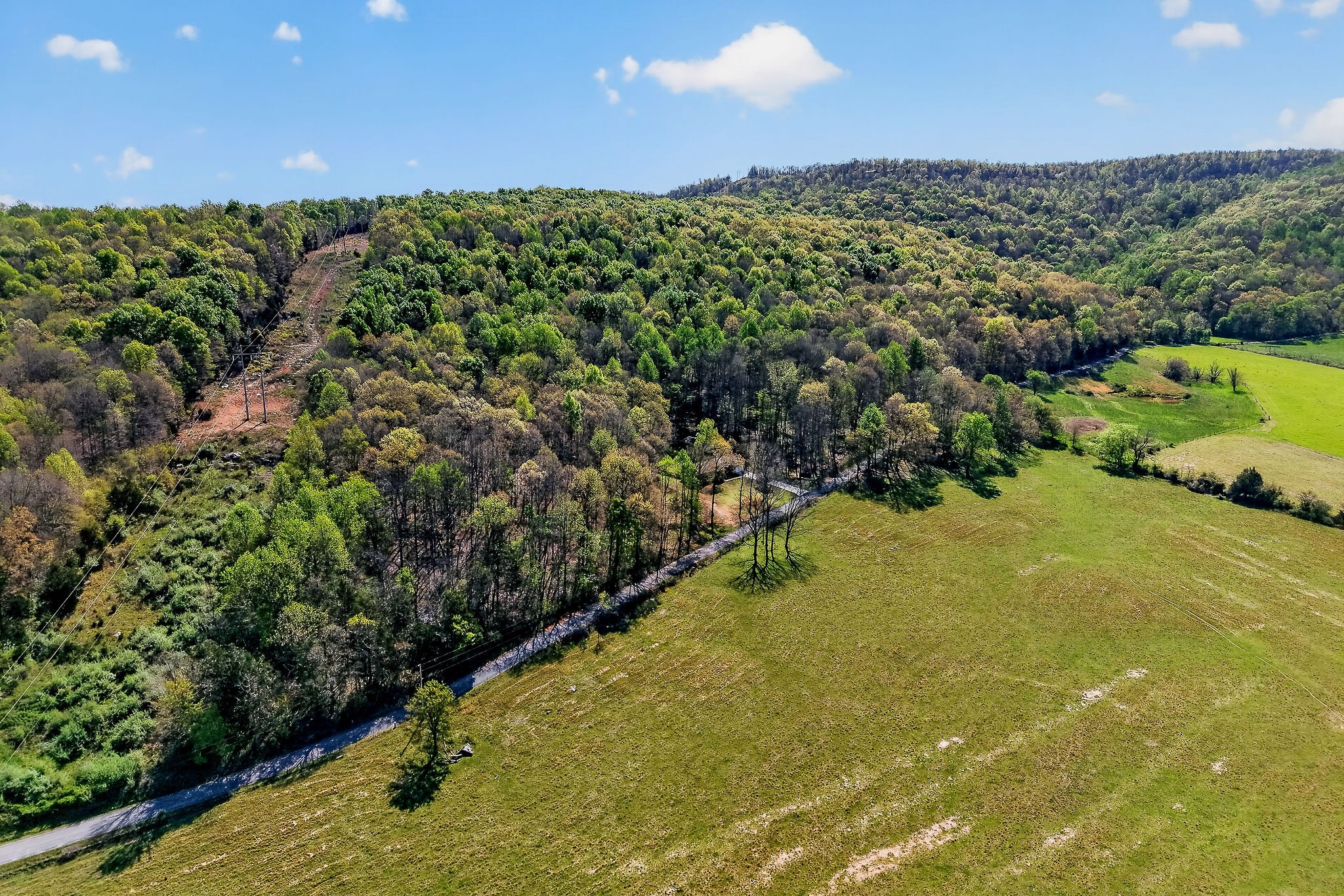 747 Old County Farm Road Spencer, TN 38585 - Photo 22 of 57