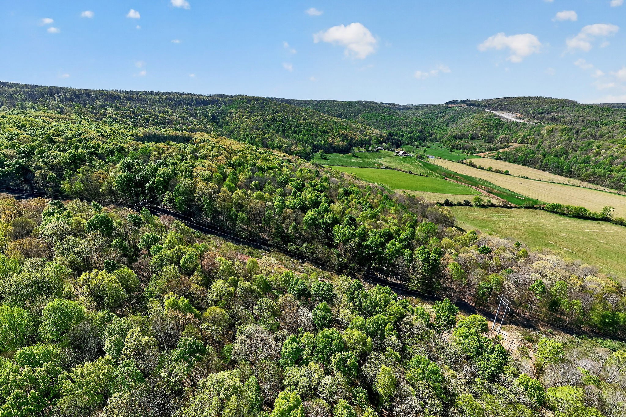 747 Old County Farm Road Spencer, TN 38585 - Photo 36 of 57