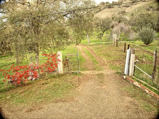 a view of a yard with an outdoor space
