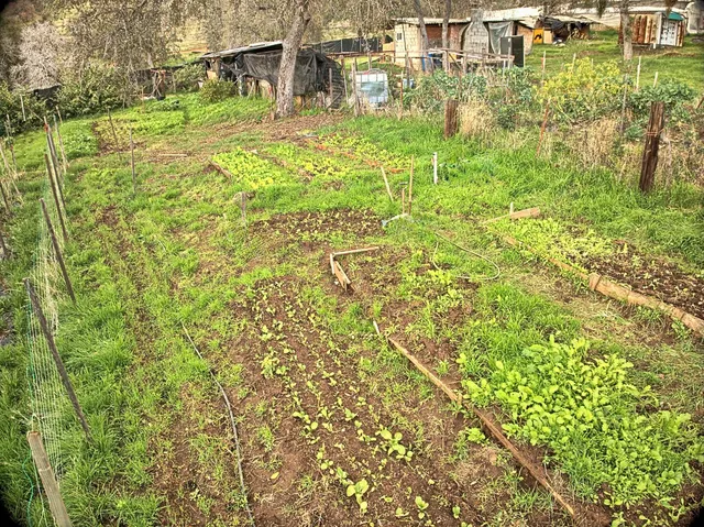 a view of yard with swimming pool