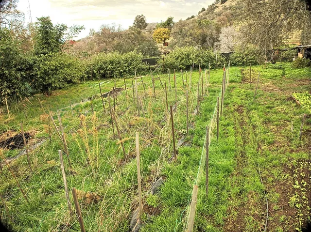 a view of an outdoor space and a yard