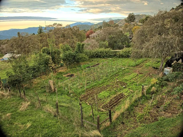 a view of a lake with a mountain