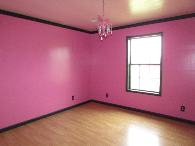 55 Knowles Road Ray City, GA 31645 - Photo 18 of 21 Gallery Image 18