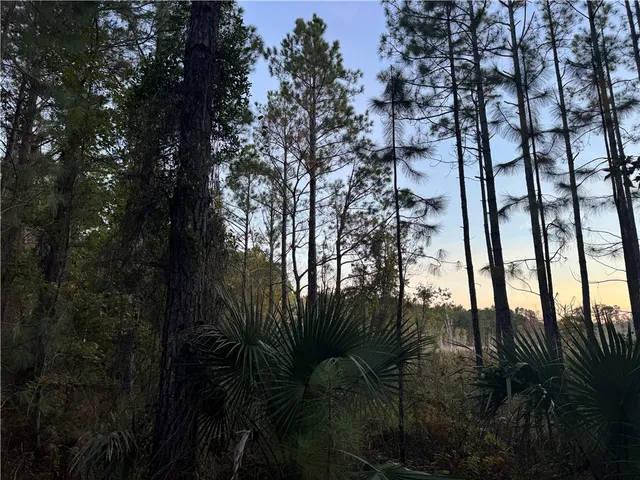 $59,900 | Lot 357 Wood Stork Way, Waverly, GA 31565