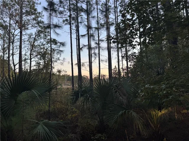 $59,900 | Lot 357 Wood Stork Way, Waverly, GA 31565