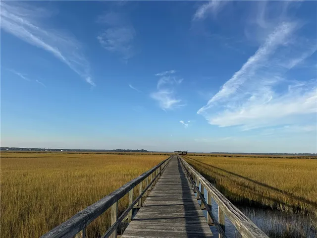 $59,900 | Lot 357 Wood Stork Way, Waverly, GA 31565