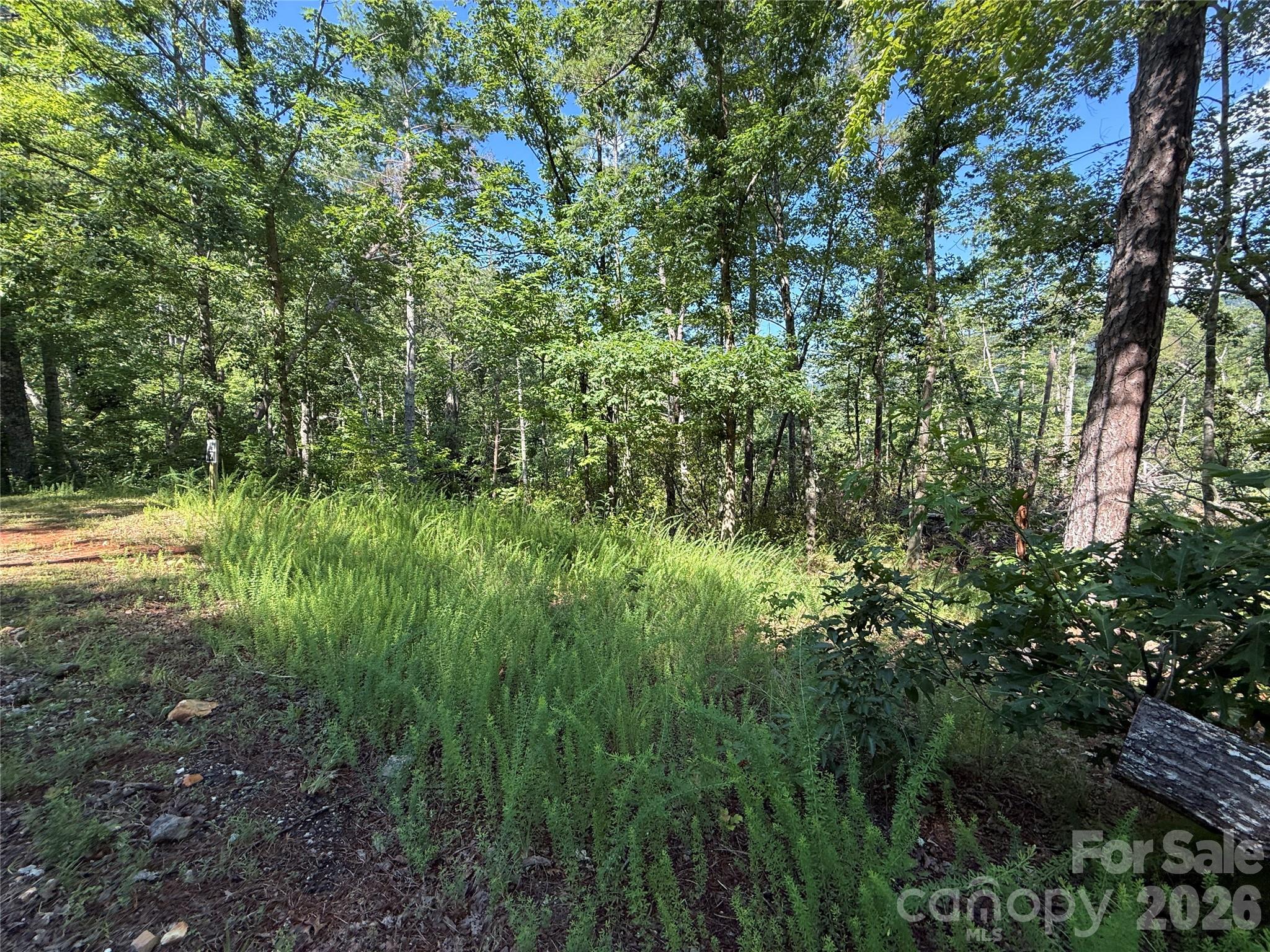 999 Fox Rdg Trail, Unit 7 Marion, NC 28752 - Photo 3 of 13
