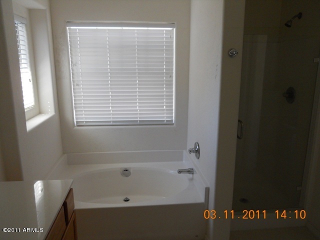 3925 South Rim Road Gilbert, AZ 85297 - Photo 18 of 20 Master tub and shower