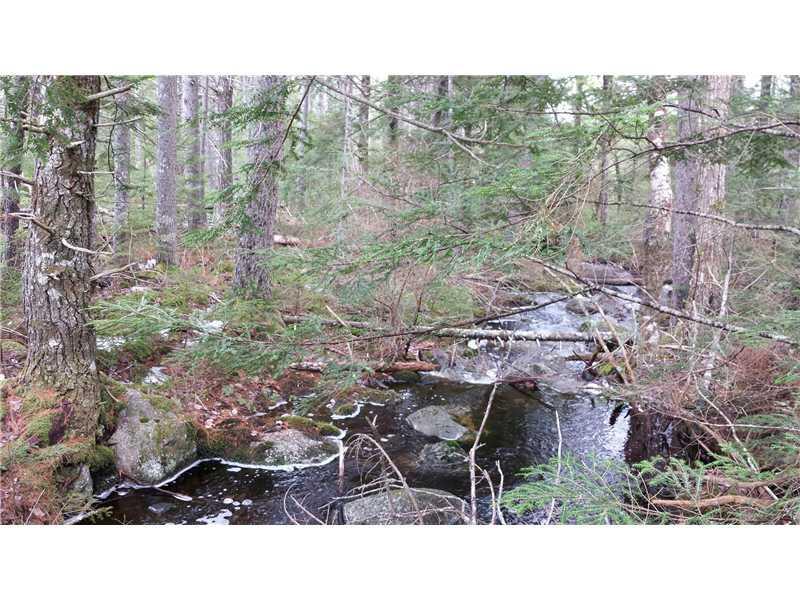 0 Southwest Brook Road Beddington, ME 04622 - Photo 14 of 16 Land/Lot. pretty little interior...
