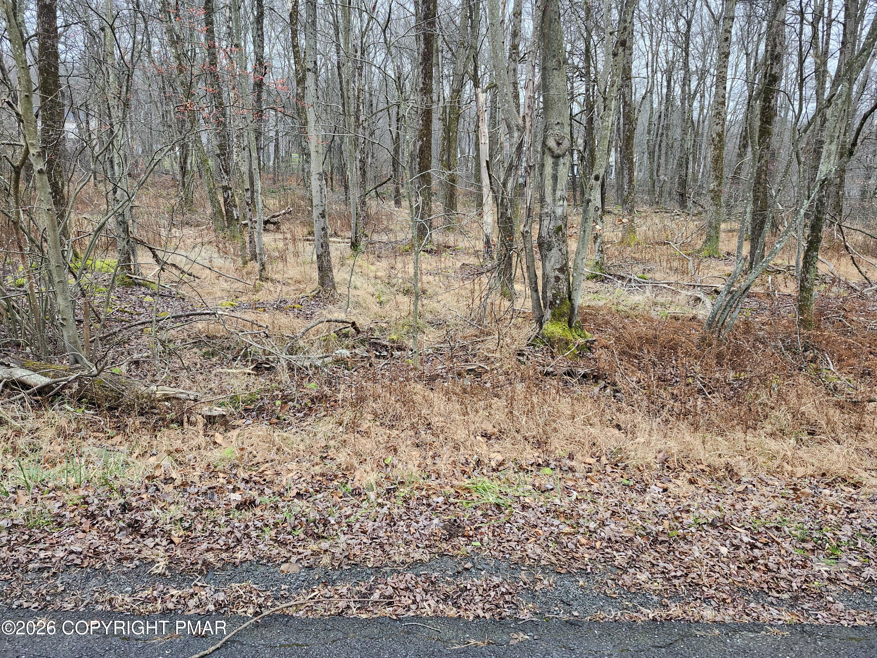 Oak View Ln Lane Tobyhanna, PA 18466 - Photo 2 of 6 a view of outdoor space with wooden floor