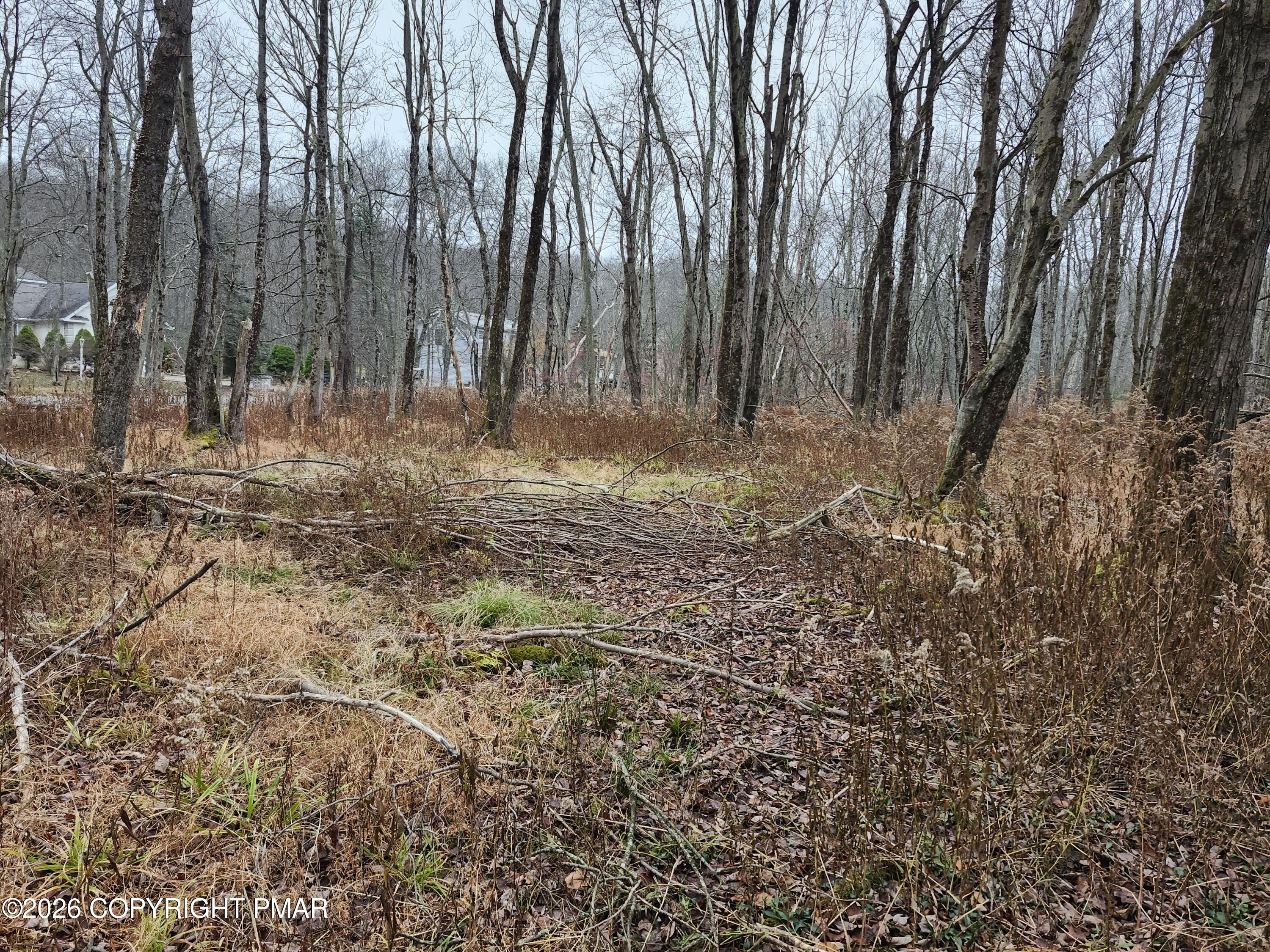 Oak View Ln Lane Tobyhanna, PA 18466 - Photo 4 of 6