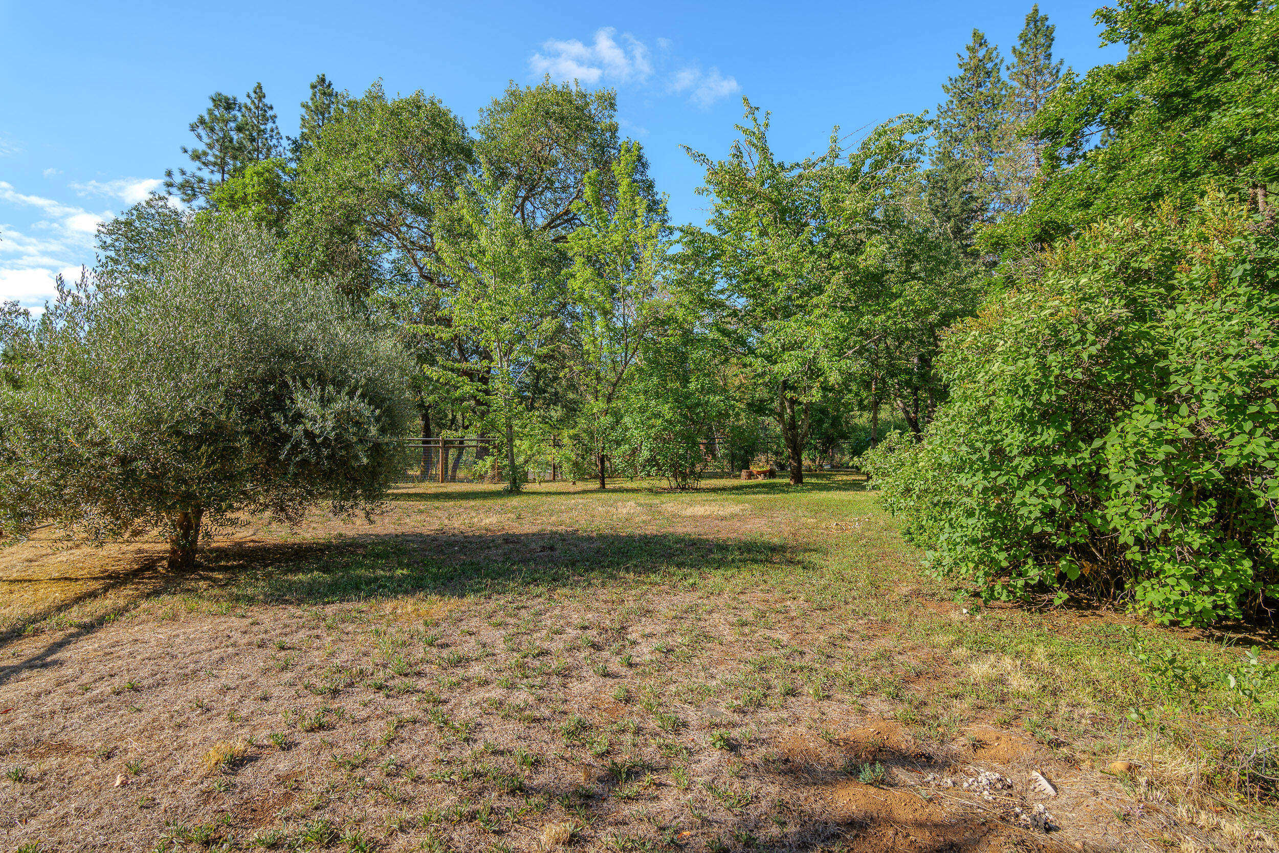 5910 Jerome Prairie Road Grants Pass, OR 97527 - Photo 40 of 50 5910JeromePrairieRd-038