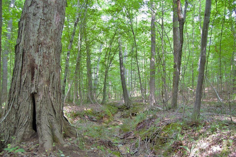 2 Bowmantown Road Roxboro, NC 27574 - Photo 14 of 18 Photo 14