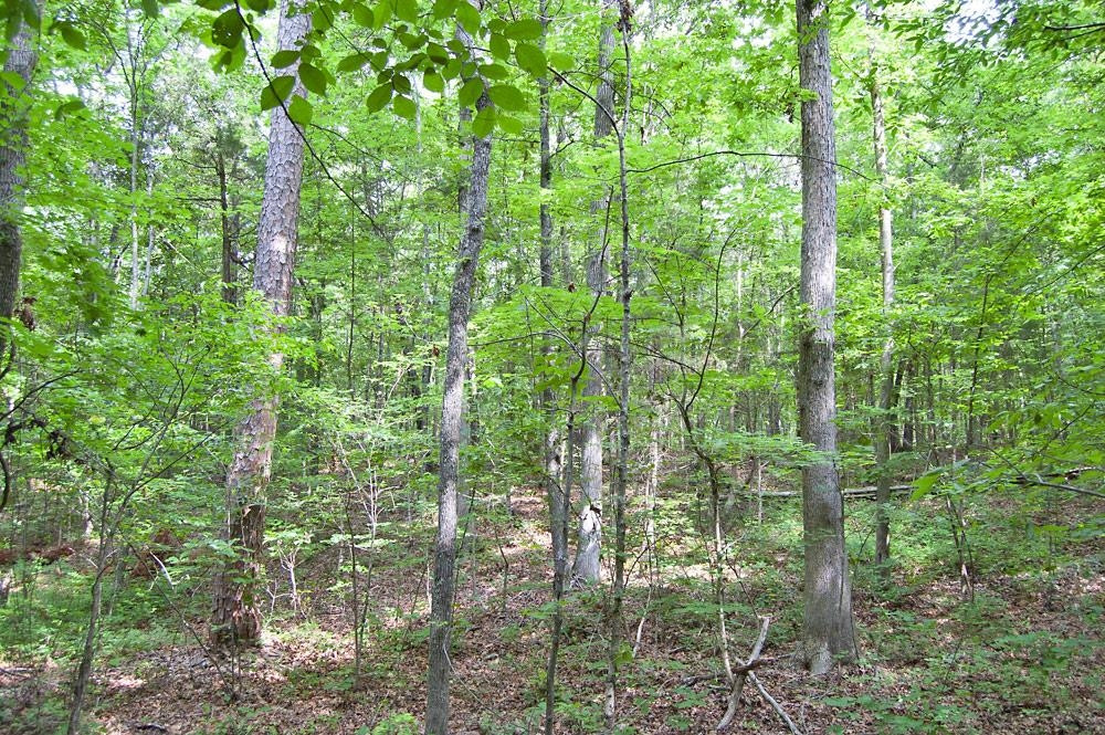 2 Bowmantown Road Roxboro, NC 27574 - Photo 16 of 18 Photo 16