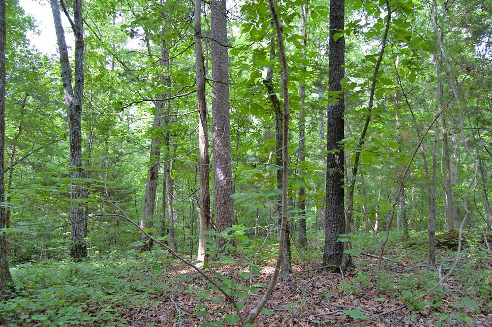 2 Bowmantown Road Roxboro, NC 27574 - Photo 17 of 18 Photo 17