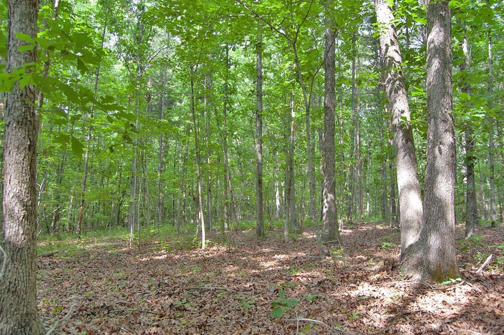 2 Bowmantown Road Roxboro, NC 27574 - Photo 7 of 18 Photo 7
