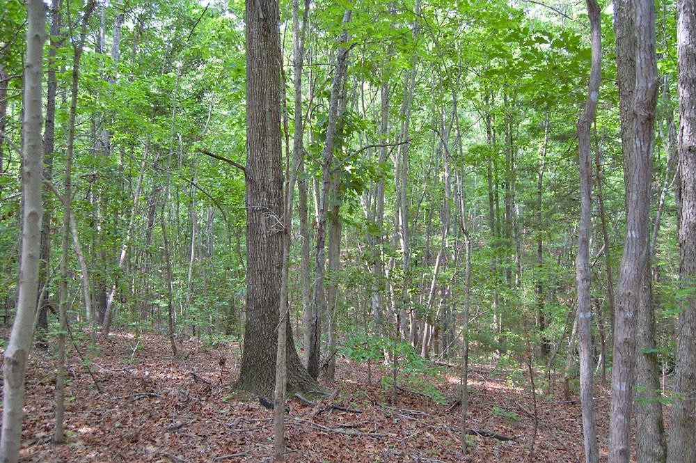 2 Bowmantown Road Roxboro, NC 27574 - Photo 9 of 18 Photo 9
