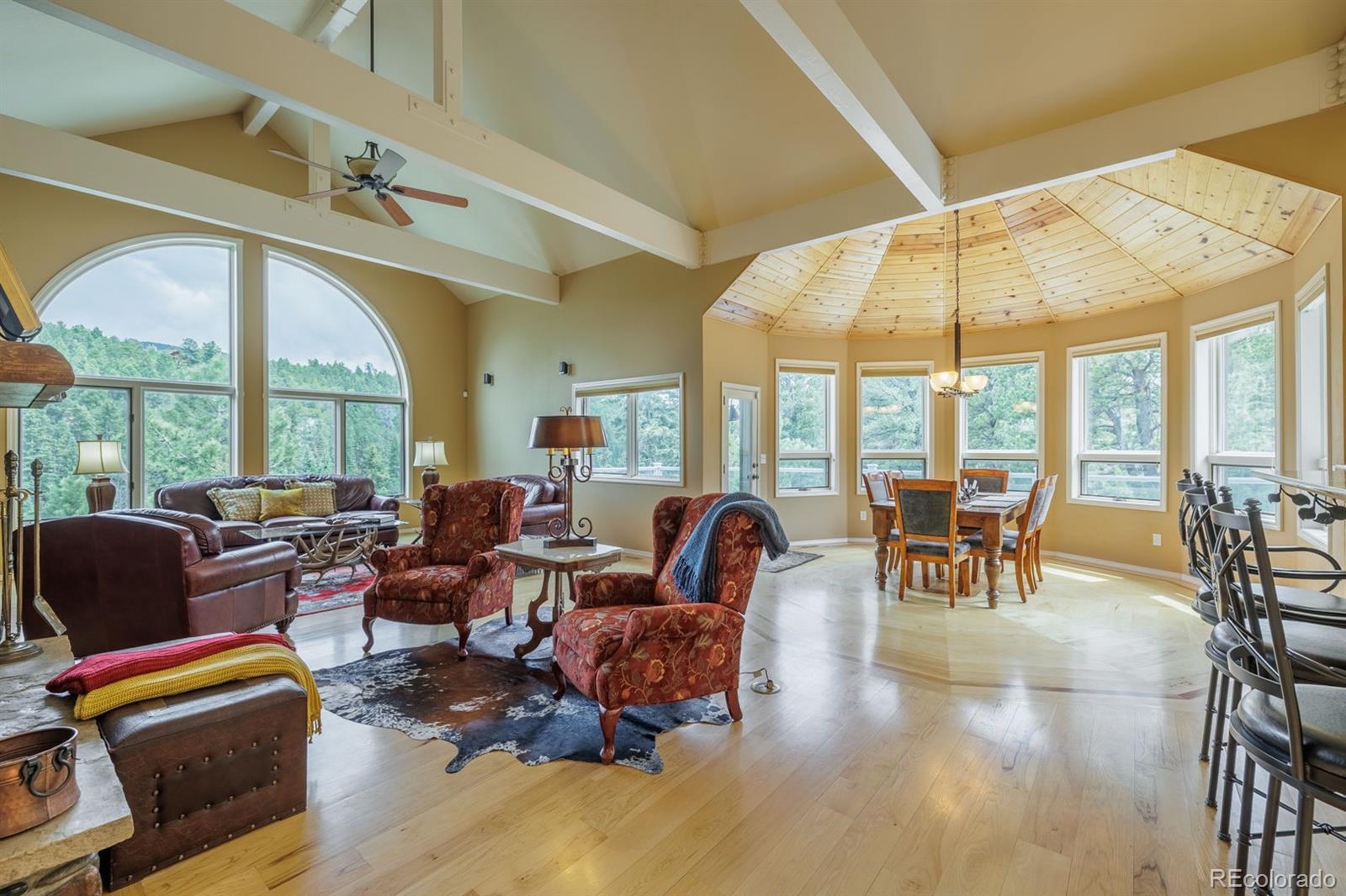 6100 Elk Valley Road Divide, CO 80814 - Photo 8 of 50 Gallery Image 8