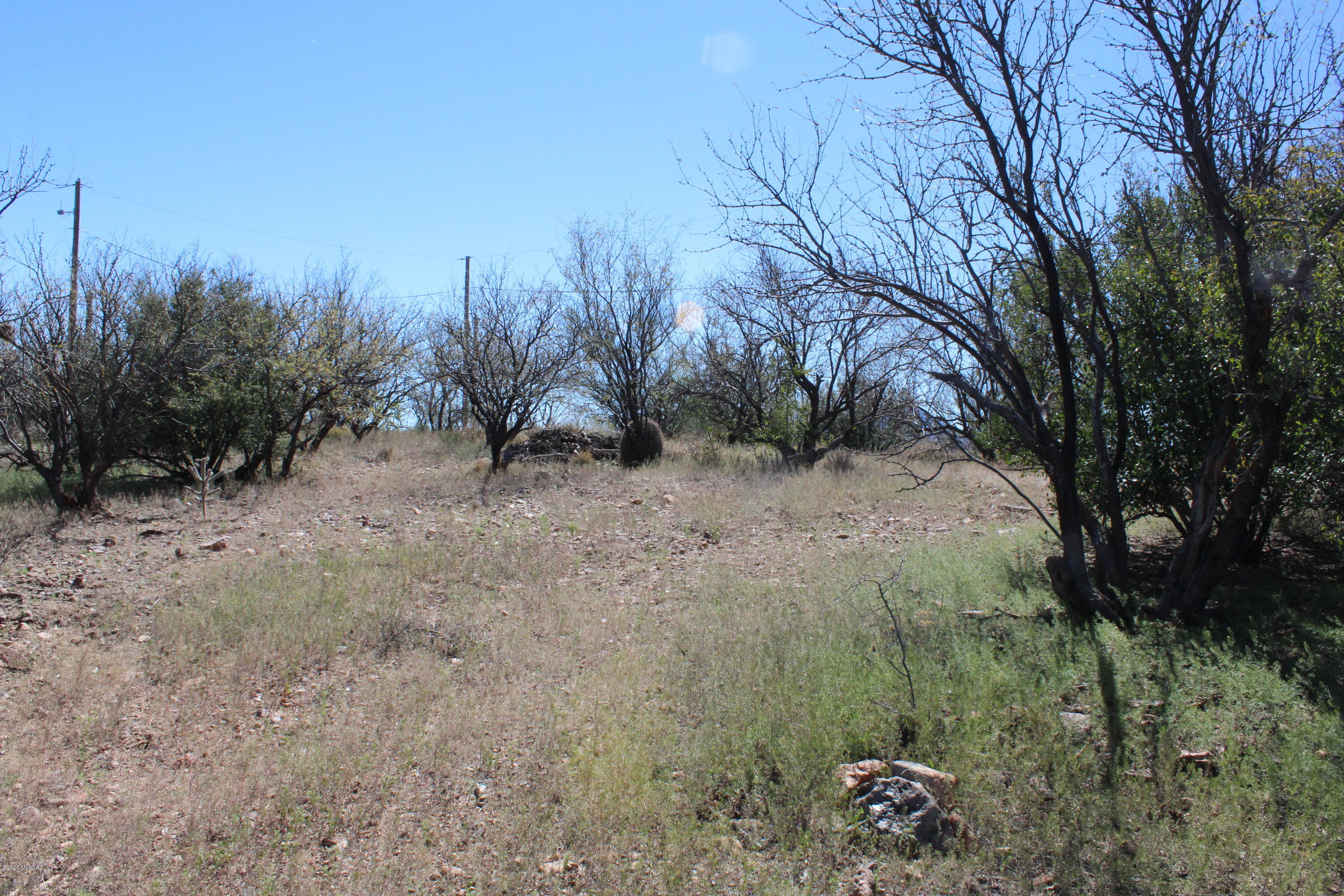 29 Ridge Court, Unit 6 Tubac, AZ 85646 - Photo 9 of 22