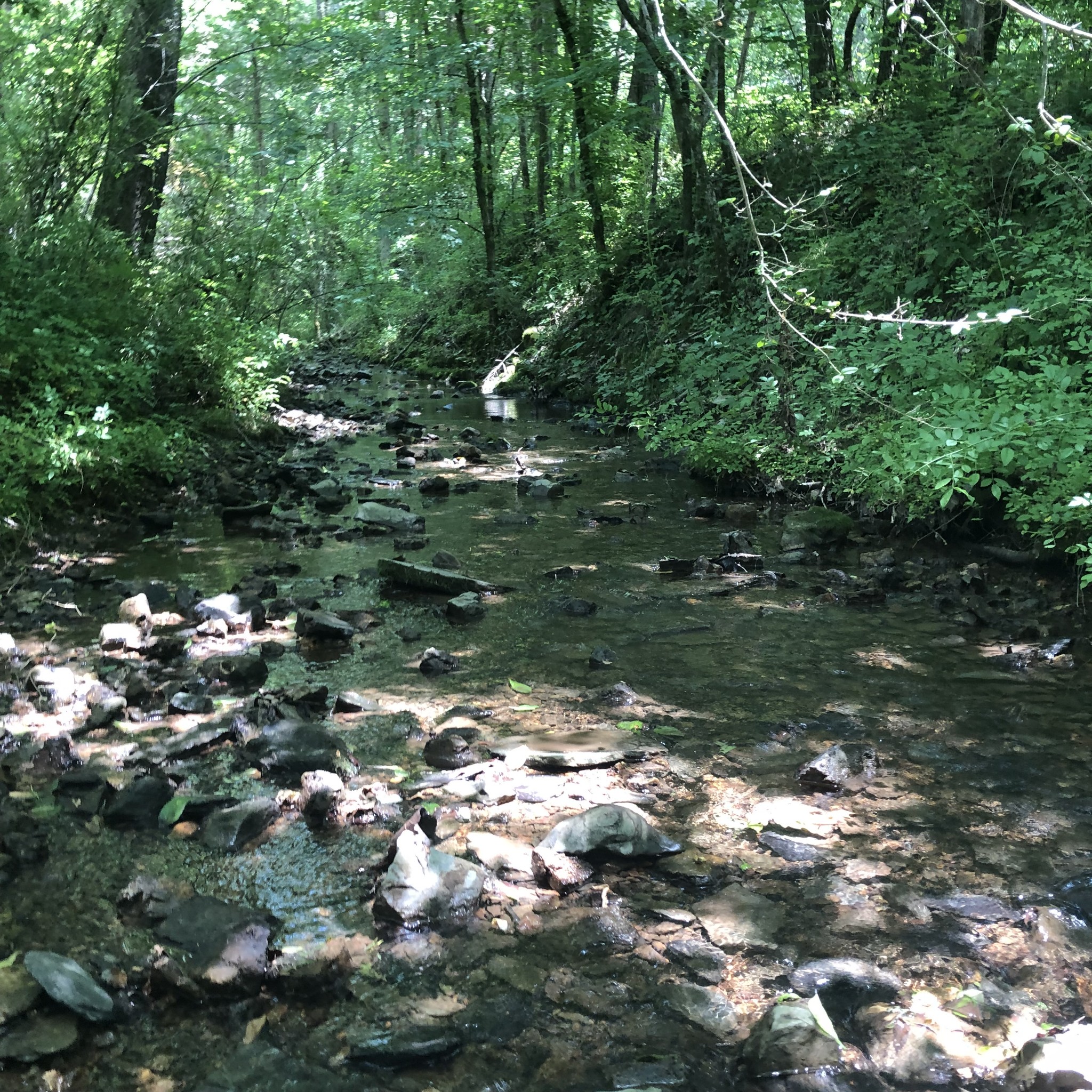 0 Cathey Ridge Road Manchester, TN 37355 - Photo 1 of 5 a view of a lake