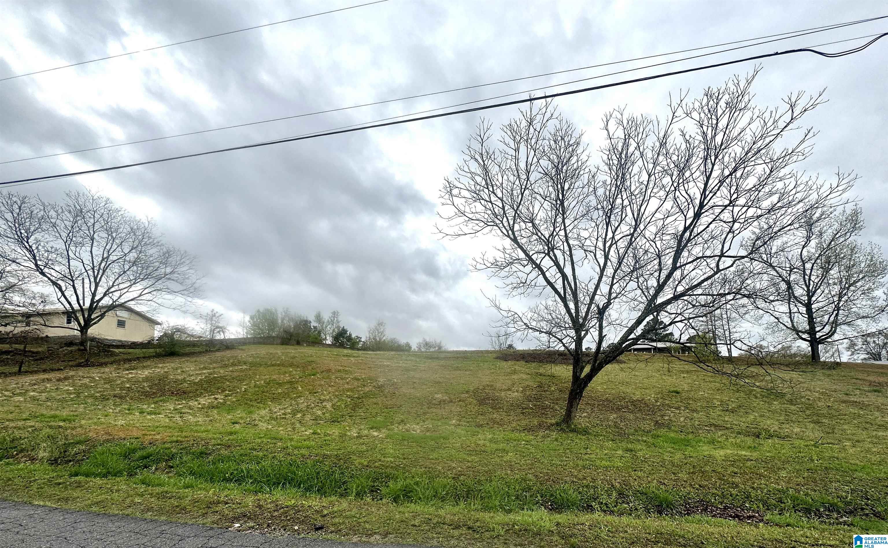404 Hilltop Road Weaver, AL 36277 - Photo 41 of 48