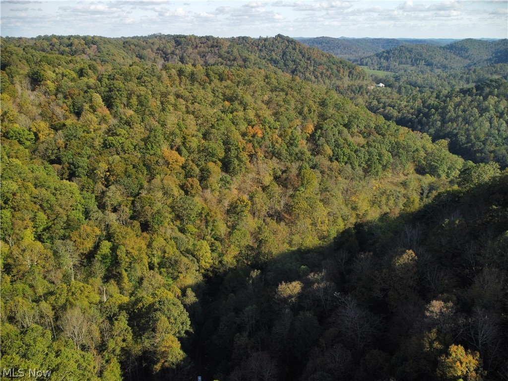 6300 Altizer Road Arnoldsburg, WV 25234 - Photo 21 of 26 Gallery Image 21