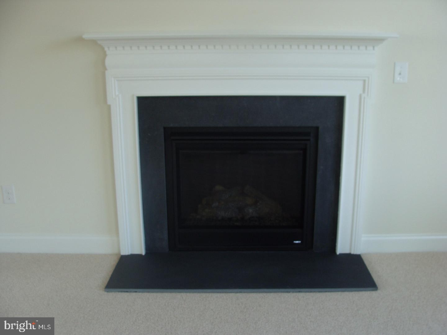 360 Staggerbush Road, Unit SPEC Williamstown, NJ 08094 - Photo 3 of 13 Fireplace