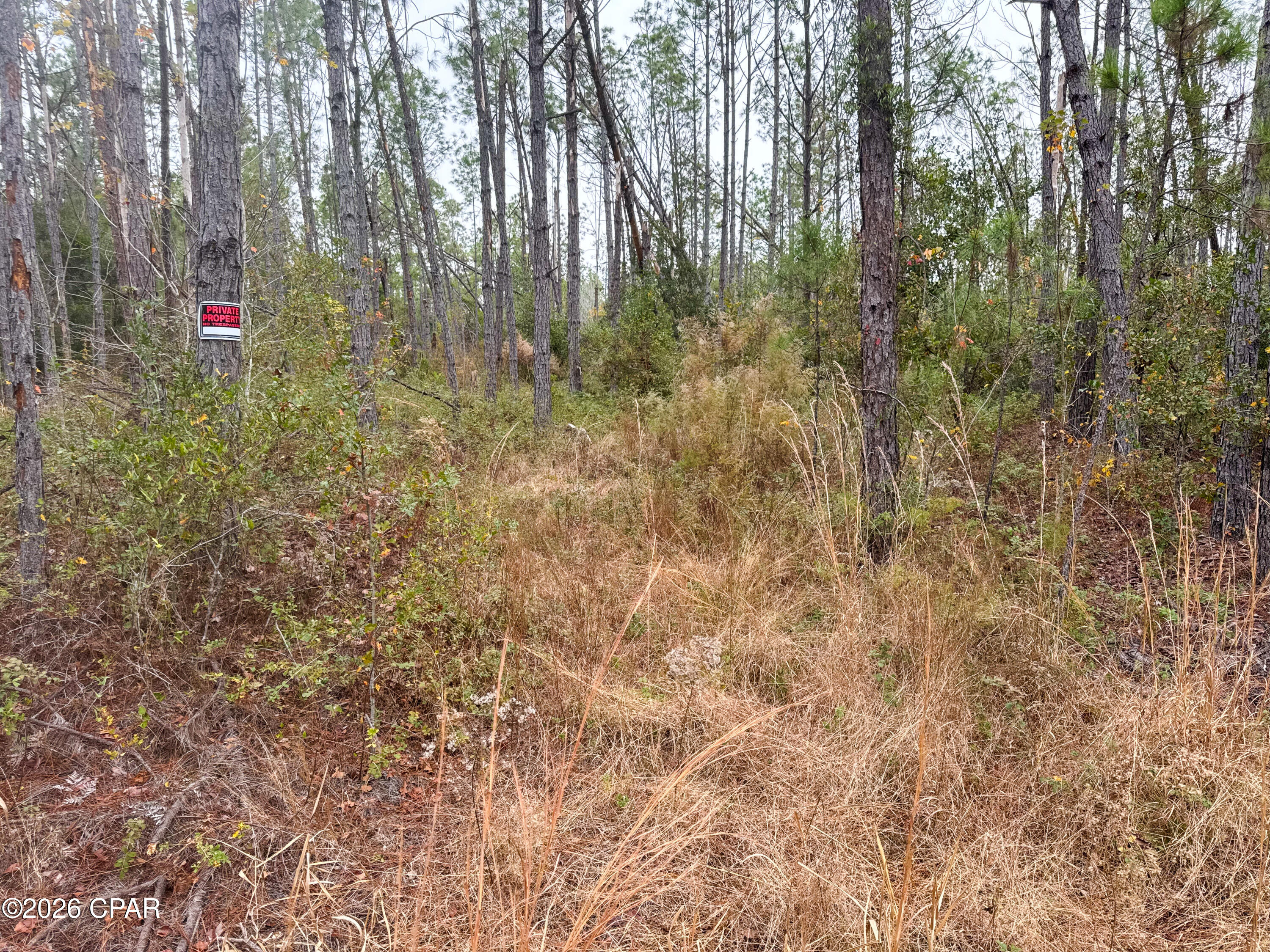 0 Southwest Vacant Sw Wesley Road Madison, FL 32340 - Photo 13 of 17 Gallery Image 13