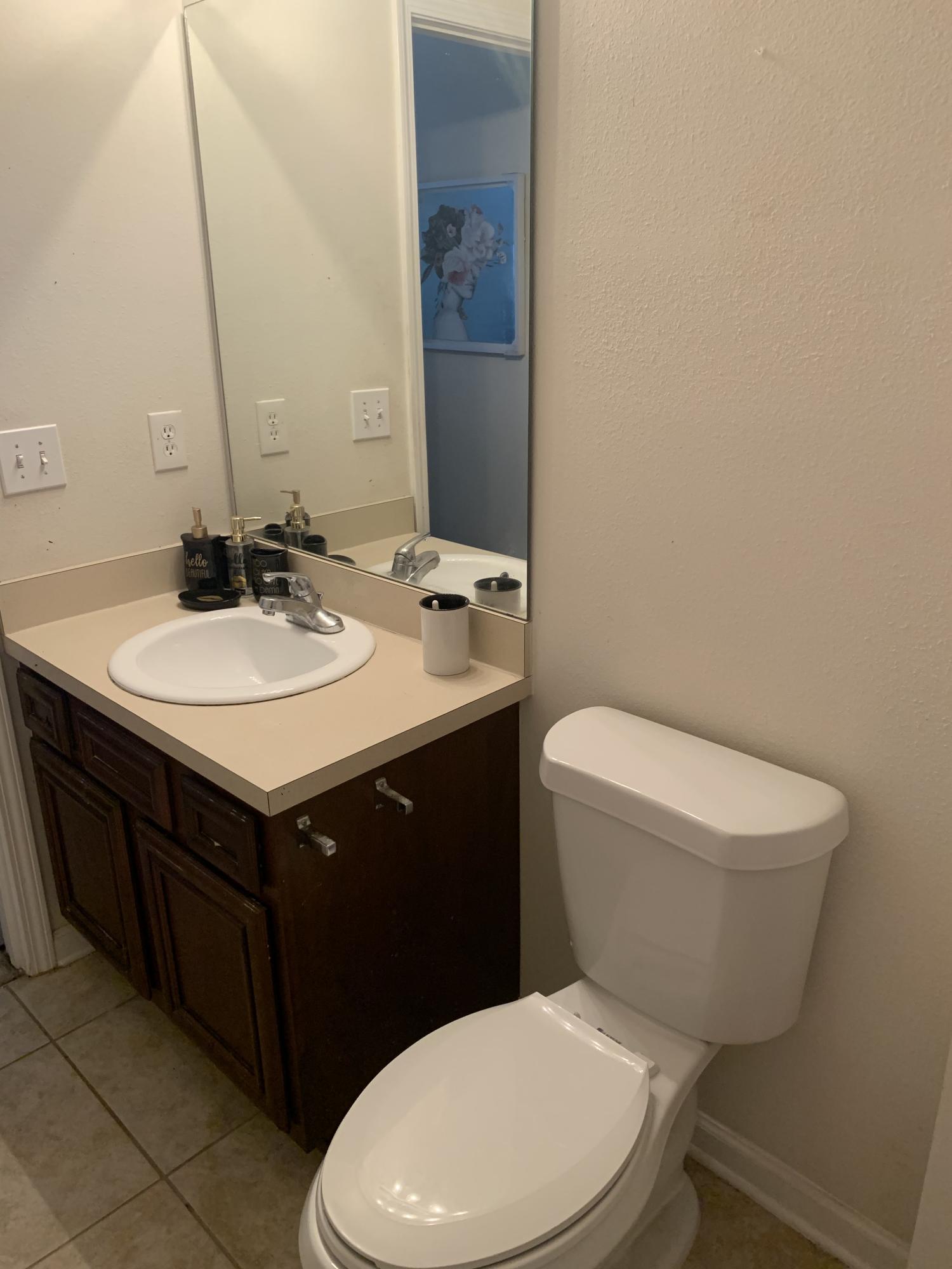 8201 Green Parrot Road, Unit 307 Jacksonville, FL 32256 - Photo 7 of 11 Guest Bath