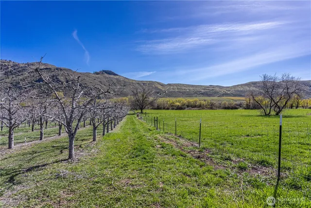 a view of a green field with lots of tress in it