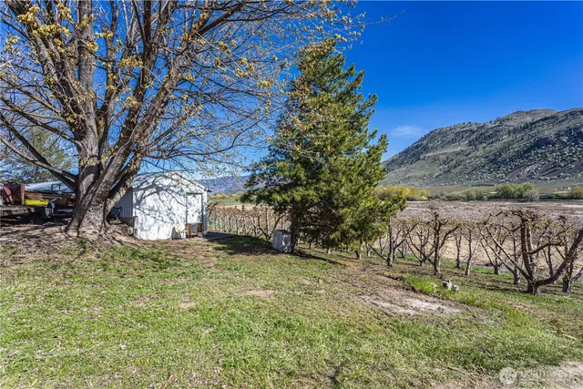 a view of yard with tree in the background