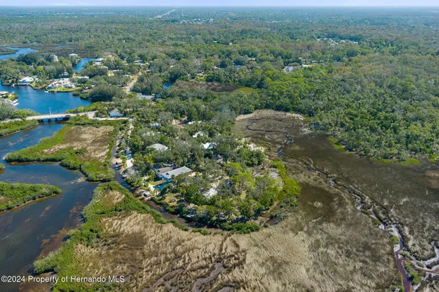 an aerial view of forest