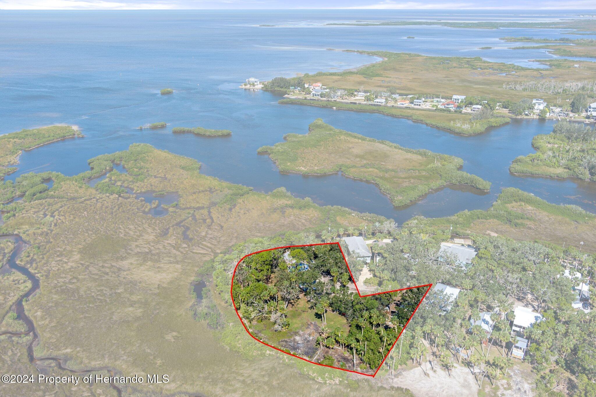 8122 Camp Lane Aripeka, FL 34679 - Photo 18 of 40 a view of lake view