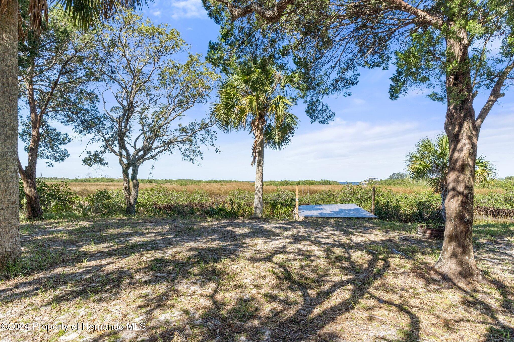 8122 Camp Lane Aripeka, FL 34679 - Photo 2 of 40 a view of outdoor space with trees