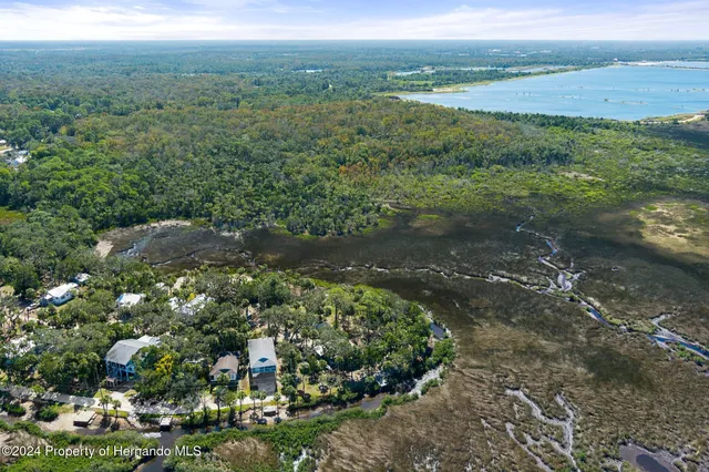a view of a yard with an outdoor space