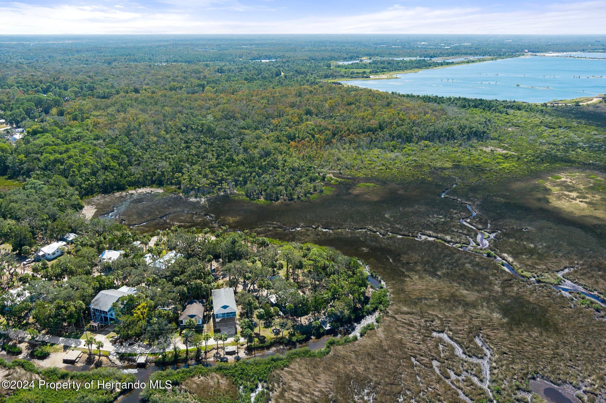 8122 Camp Lane Aripeka, FL 34679 - Photo 3 of 40 a view of a yard with an outdoor space