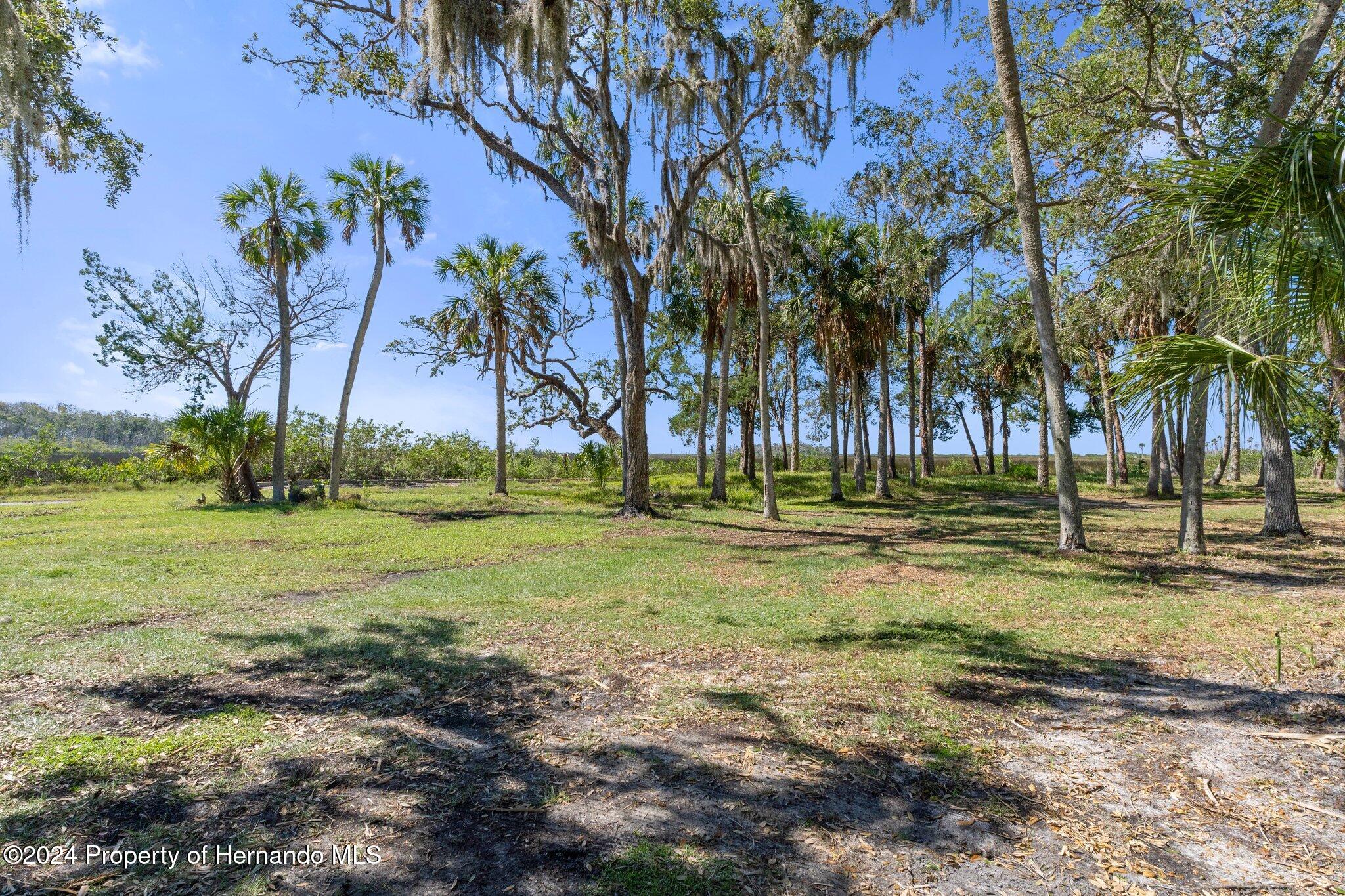 8122 Camp Lane Aripeka, FL 34679 - Photo 4 of 40 a view of a park