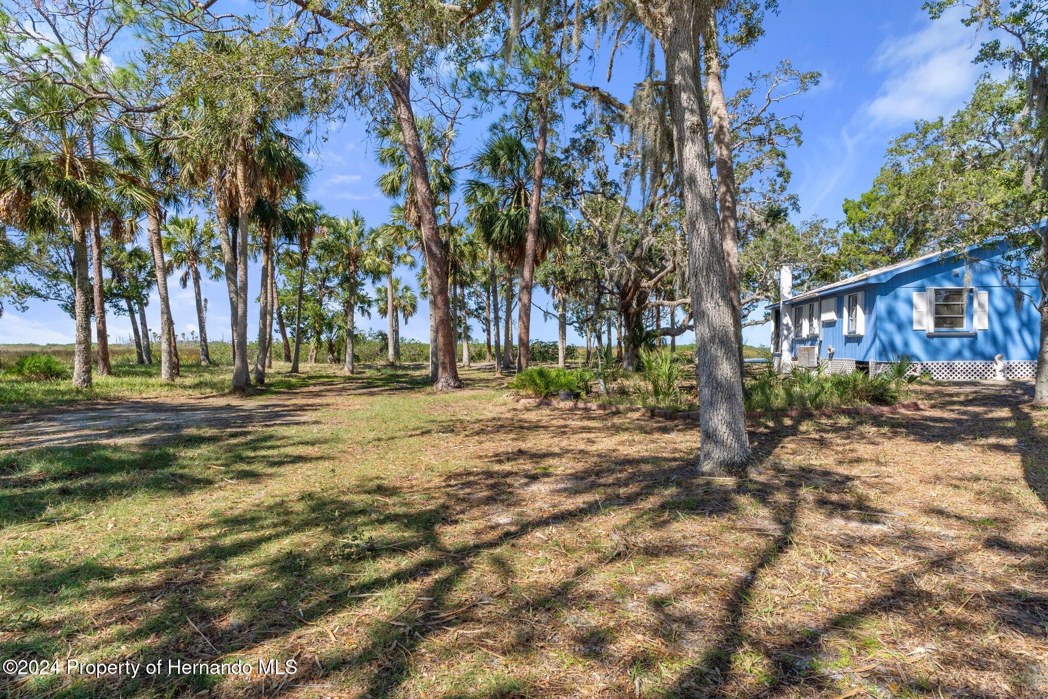 8122 Camp Lane Aripeka, FL 34679 - Photo 5 of 40 a view of a yard with a tree
