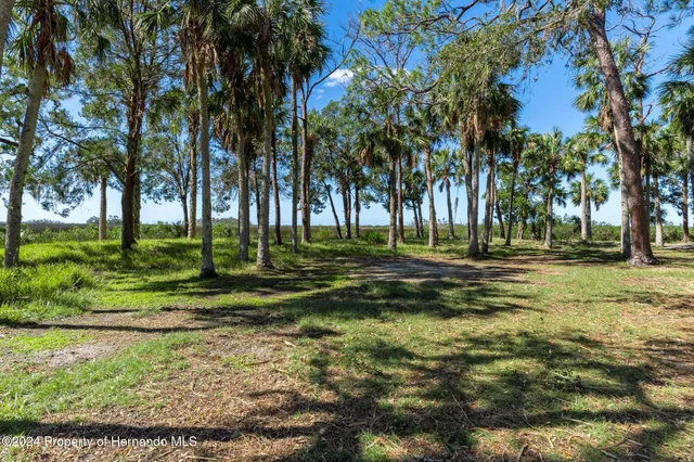 a garden view with a fountain