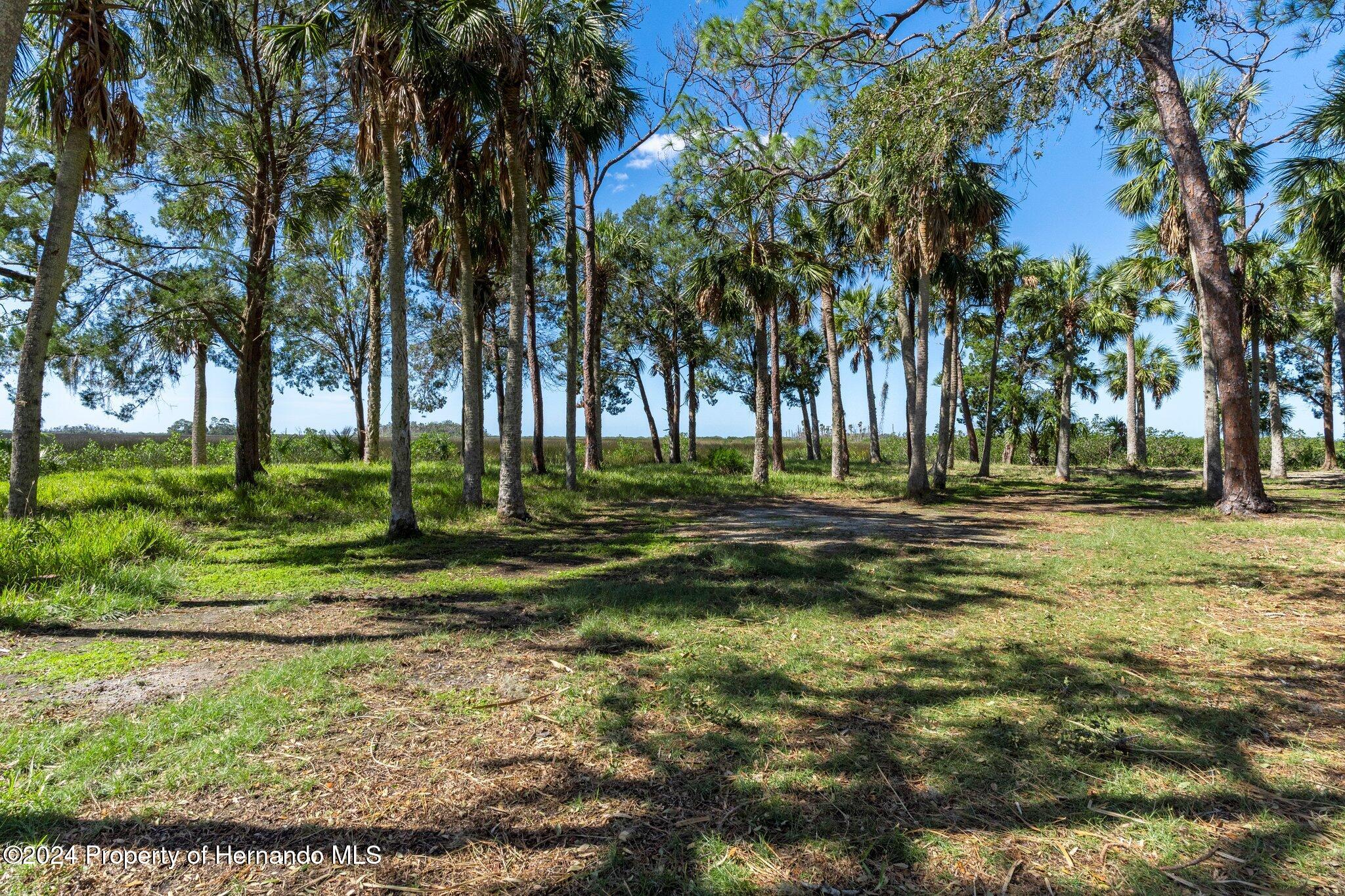 8122 Camp Lane Aripeka, FL 34679 - Photo 6 of 40 a garden view with a fountain
