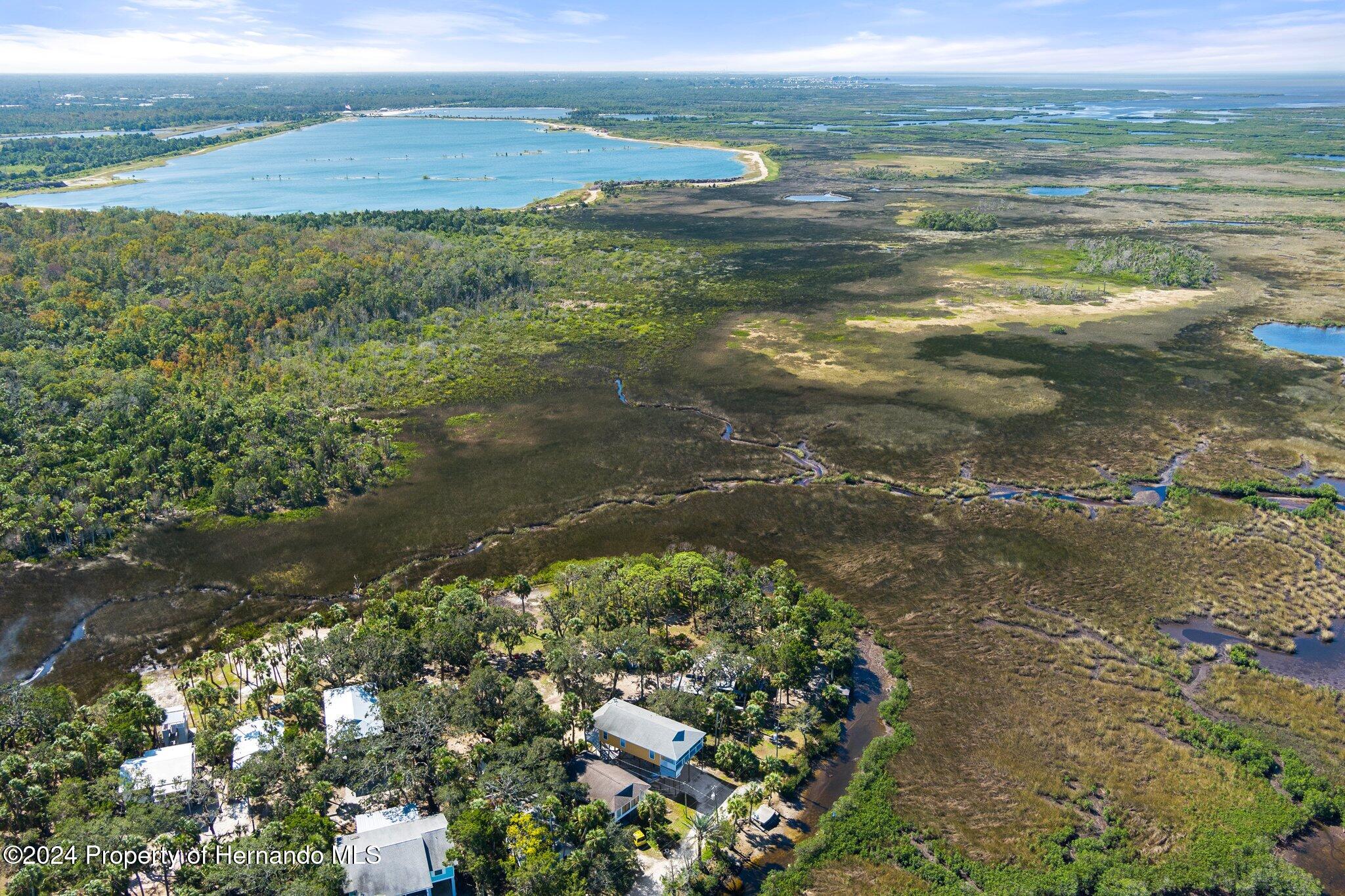8122 Camp Lane Aripeka, FL 34679 - Photo 9 of 40 a view of lake with green space