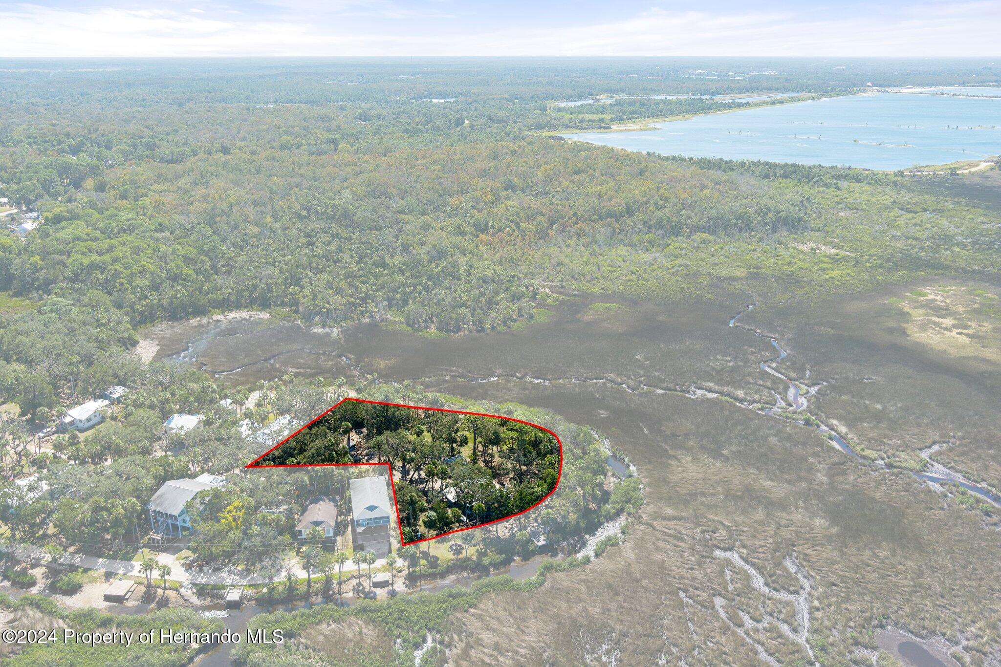 8122 Camp Lane Aripeka, FL 34679 - Photo 10 of 40 a view of a pathway with a ocean view