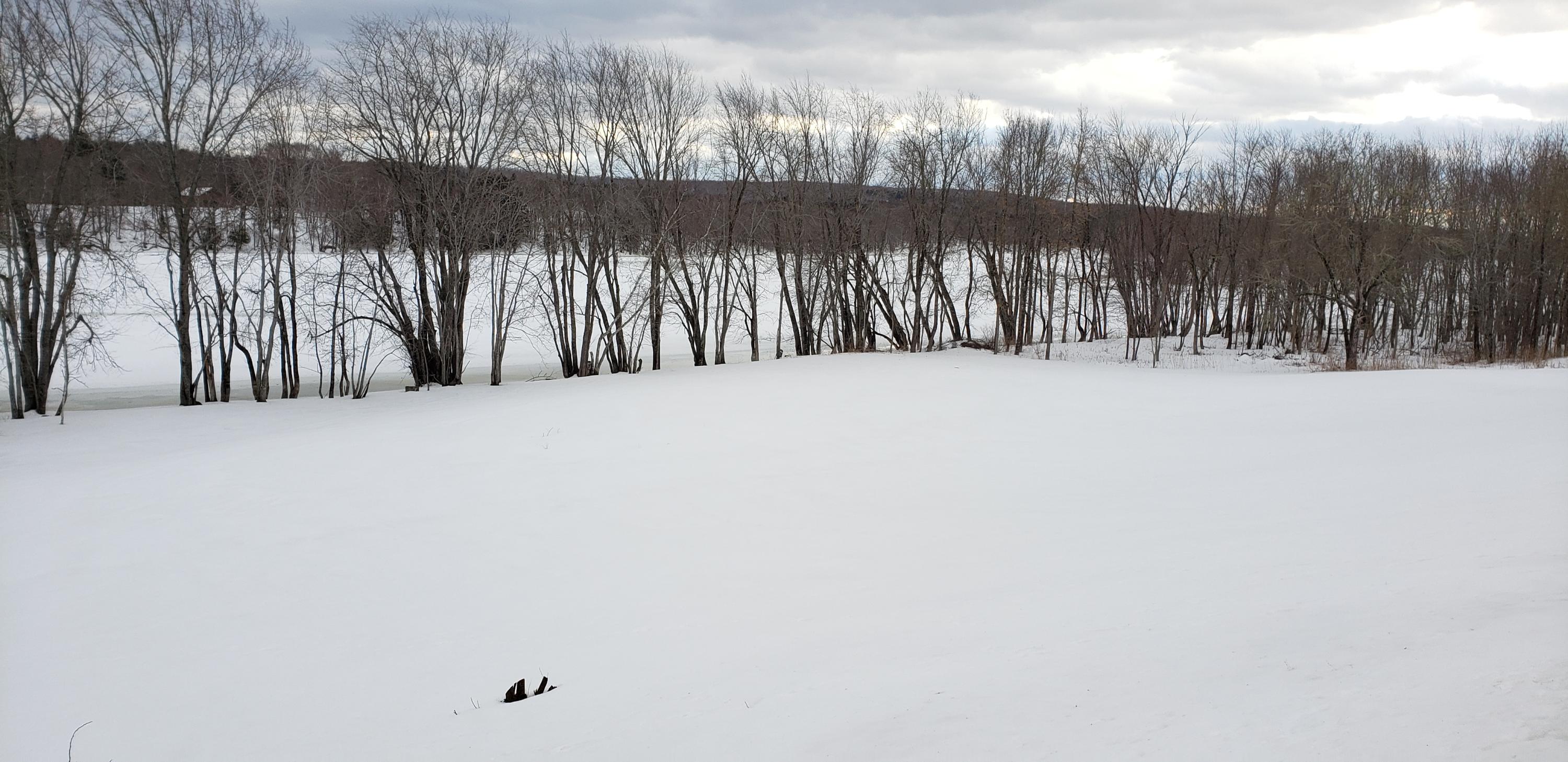 781 North Chester Road Lincoln, ME 04457 - Photo 22 of 74 781 N. Chester Road (145)