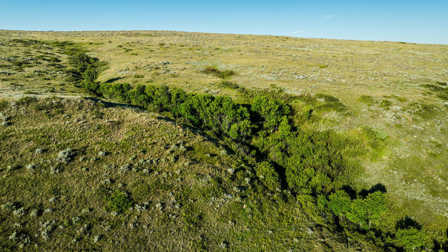 Sr Road, Unit /411 Wyarno, WY 82845 - Photo 18 of 39 036_dji_20250813073856_0044_d_922