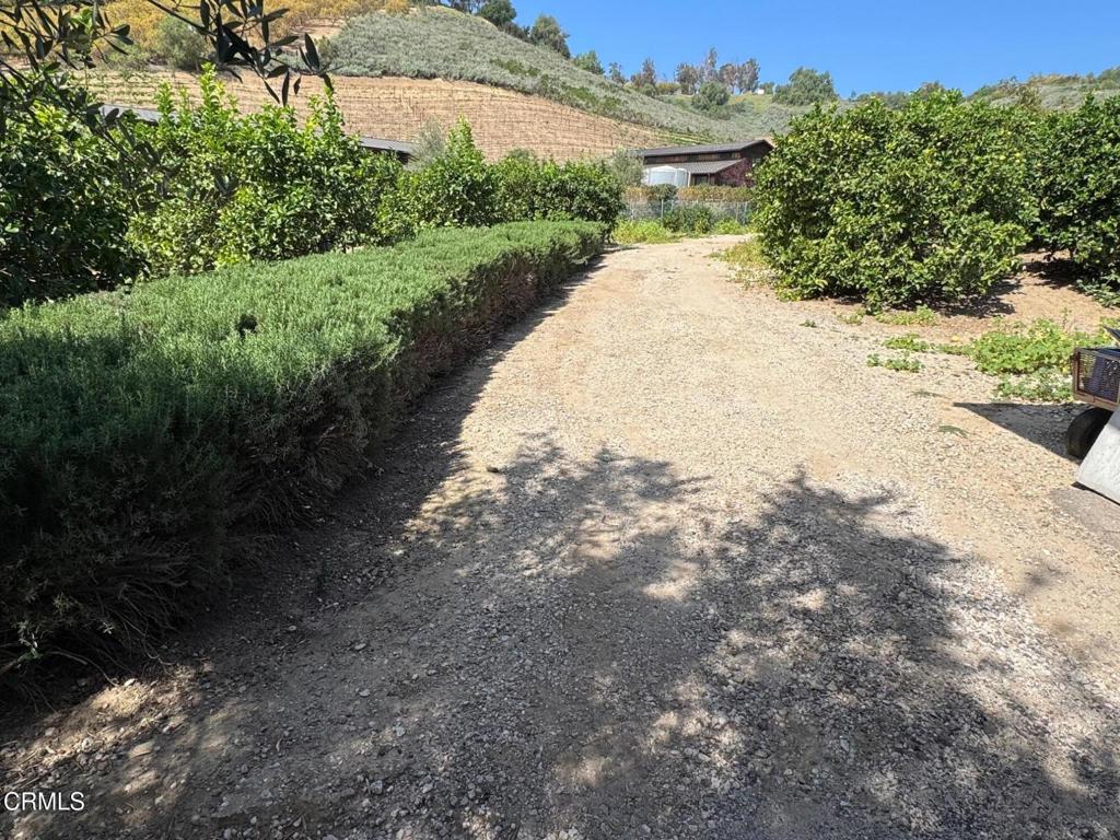 7907 Balcom Canyon Road Somis, CA 93066 - Photo 20 of 41 IMG_9593