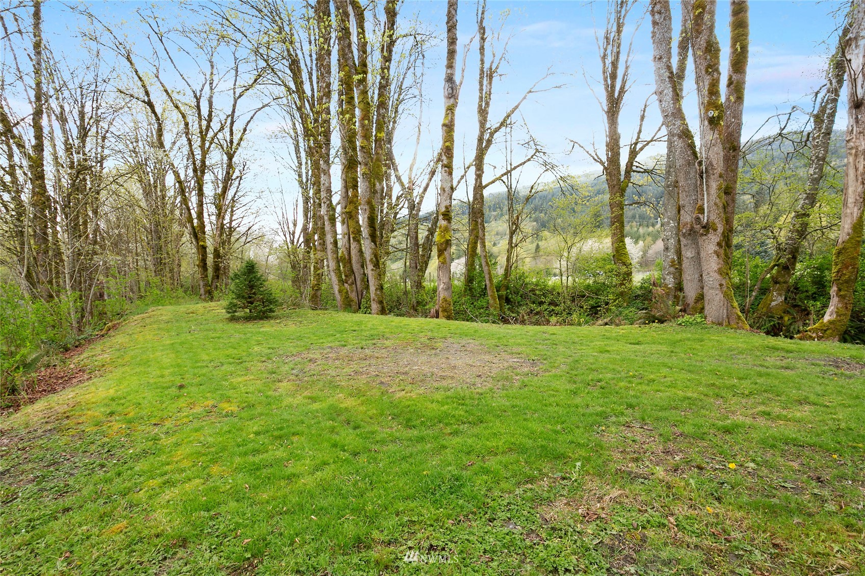 5191 Wickersham Road Acme, WA 98220 - Photo 23 of 23 a view of a field with trees