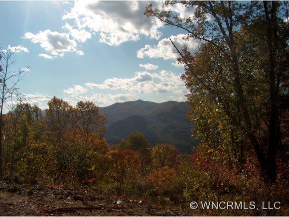 Lot 5 Yellow Rose Road, Unit 5 Clyde, NC 28721 - Photo 1 of 4