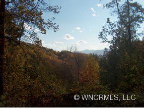 Lot 5 Yellow Rose Road, Unit 5 Clyde, NC 28721 - Photo 2 of 4