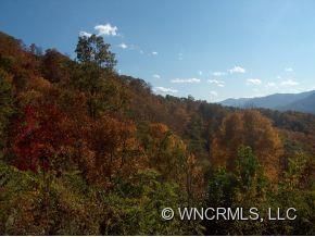 Lot 5 Yellow Rose Road, Unit 5 Clyde, NC 28721 - Photo 3 of 4