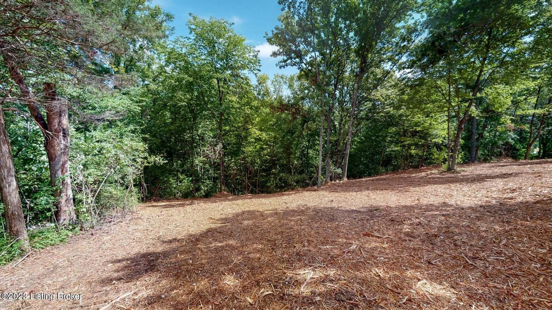 145 Wooded Hollow Road Sulphur, KY 40070 - Photo 12 of 30 20220810184347308734000000-o